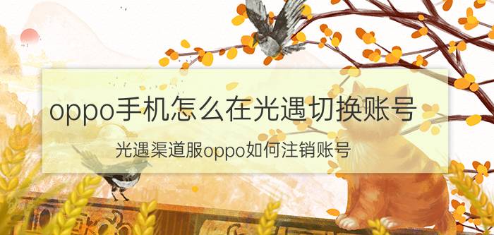 oppo手机怎么在光遇切换账号 光遇渠道服oppo如何注销账号？